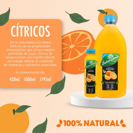 Naturalísimo Naranja Sin Pulpa